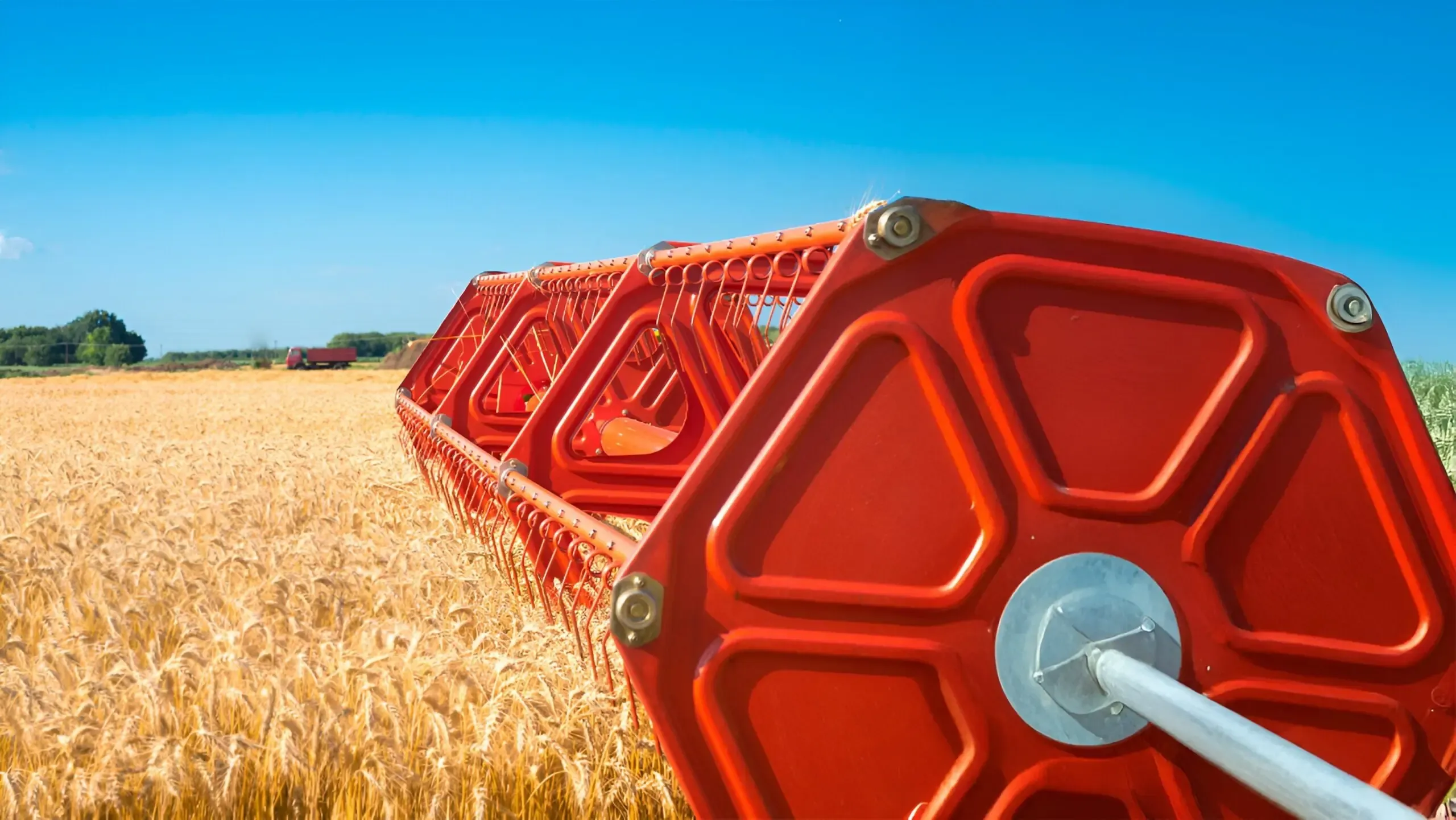 rojo dorado campo azul